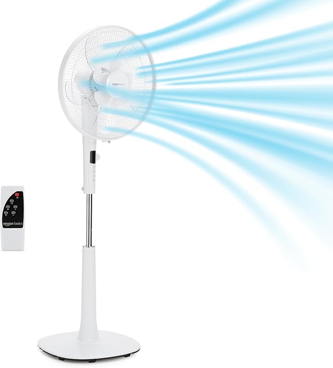 Pedestal Fan with Remote